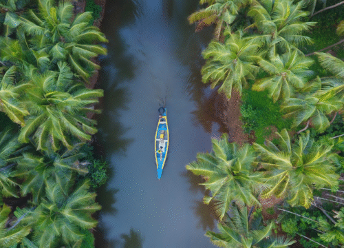 Enchanting Kerala: 5-Day Nature and Culture Tour