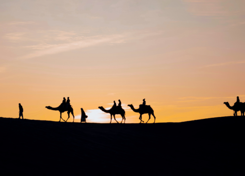 10-Day Rajasthan Royal Heritage Trail: Udaipur to Jaipur