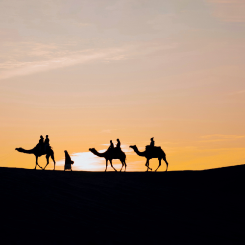 10-Day Rajasthan Royal Heritage Trail: Udaipur to Jaipur