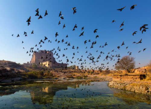 5-Day Udaipur, Kumbhalgarh & Jodhpur Royal Heritage Tour